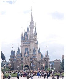 Disney | ブラジャー
