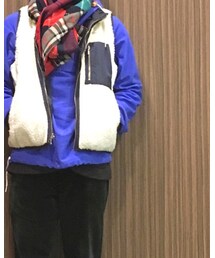 LACOSTE | ダウンベスト