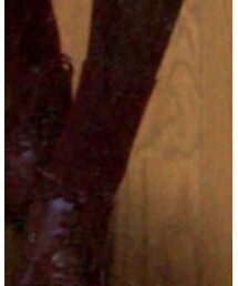 靴下屋 | ソックス/靴下