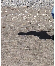 Levi's | デニムパンツ