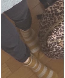 靴下屋 | ソックス/靴下