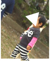 Lee | Tシャツ/カットソー