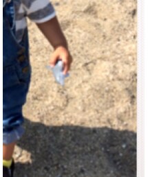 イルカ | 財布/小物