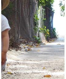 ZARA | Tシャツ/カットソー