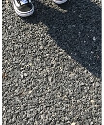 しまむら | Tシャツ/カットソー