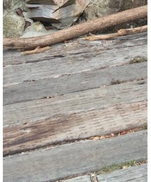 知内浜でcampしてきました。 | その他