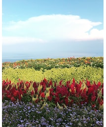 あわじ花さじき | その他