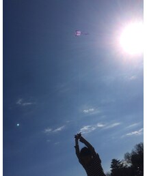 凧上げ🐙 | その他