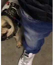 アルコット | デニムパンツ