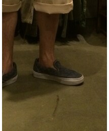 VANS | スニーカー