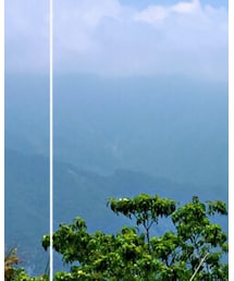 GILDAN | Tシャツ/カットソー