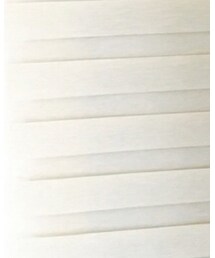 Birthday | パンツ