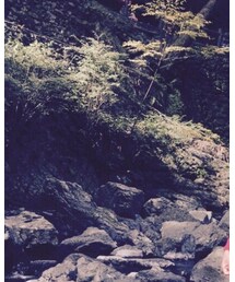 箕面の滝 | その他