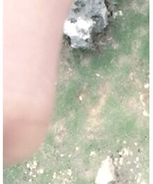 沖縄🌴🌺 | その他