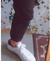 LACOSTE | スニーカー