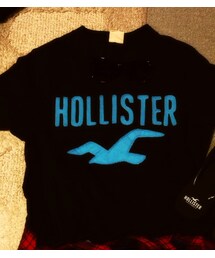 Hollister | hollister (Tシャツ/カットソー)
