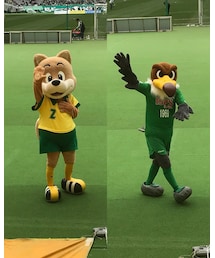 犬と鷲🐕🦅 | フィギュア