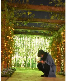 イルミネーション | その他