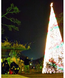 あしかがフラワーパーク | その他