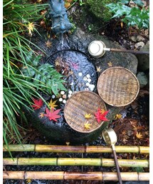 風情がありますねぇ🍁🌾 | その他