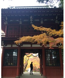 本土寺⛩ | その他