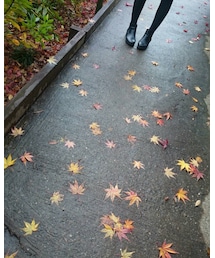 可愛い足元🍁🍁🍁 | その他