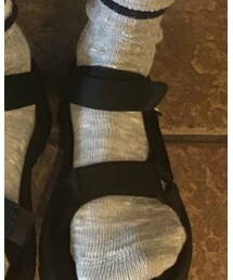 3coins | ソックス/靴下