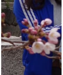 adidas | ノーカラージャケット