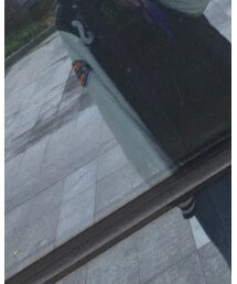 Dickies | ライダースジャケット