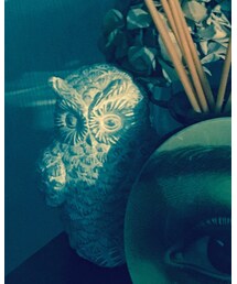 Recreational Vehicle | 照明