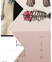 Aquirax | ポスター/アート