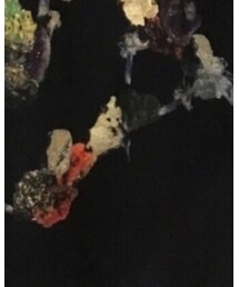 björk Biophilia | Tシャツ/カットソー