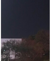 H&M | その他パンツ