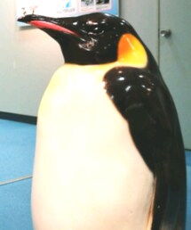 名古屋港水族館 | その他