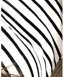 しまむら | Tシャツ/カットソー