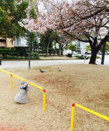 H&M | ぽっぽさん、大好き^o^
母は無理。(カーディガン/ボレロ)