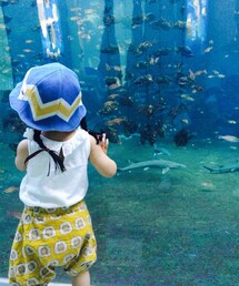 BREEZE | かき?(ハット)