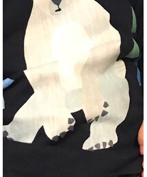 THE NORTH FACE | Tシャツ/カットソー