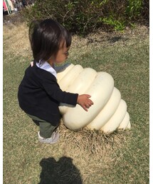 チョロギ | その他
