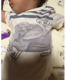 🐘さんもお昼寝 | Tシャツ/カットソー