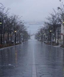 nobrand | 八幡坂(その他)