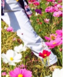 ZARA BASIC | その他パンツ