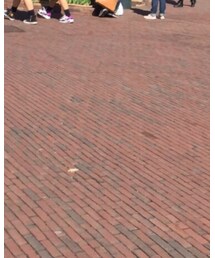 ライナー | ジャケット/アウター