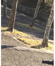 no brand | スーツベスト