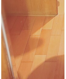 earth music&ecology | パンツ