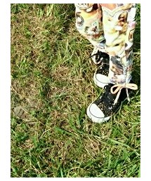 CONVERSE | スニーカー