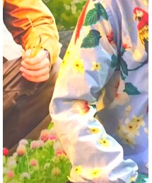 TOMMY HILFIGER | シャツ/ブラウス