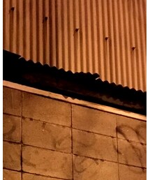 NEW ERA | キャップ