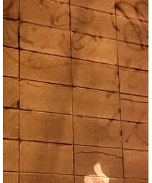 Kastane | シャツ/ブラウス