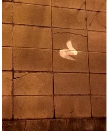 MONKI | その他パンツ